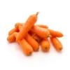 Carrot