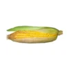 Sweet Corn