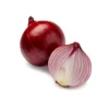 Shallot